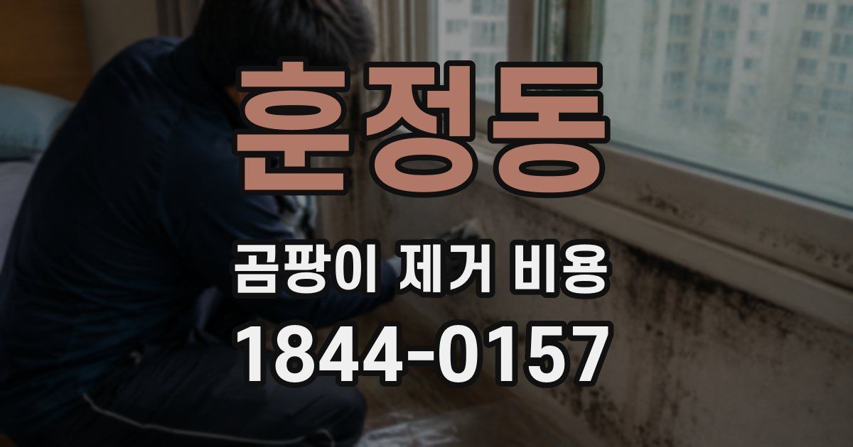 훈정동 곰팡이 제거 비용