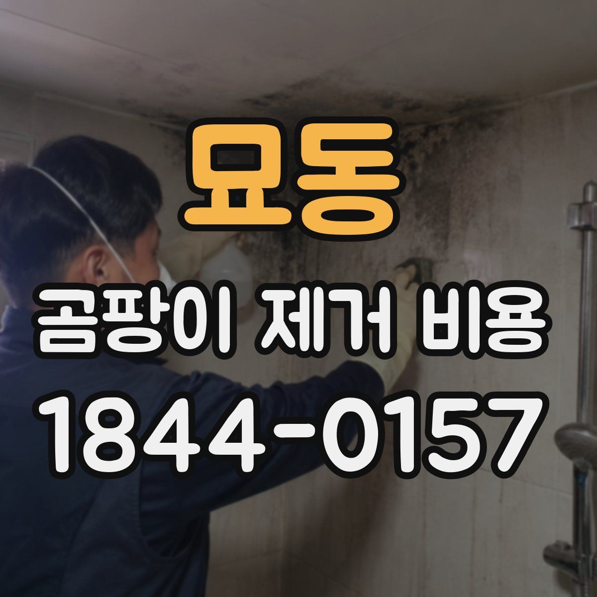 묘동 곰팡이 제거 비용