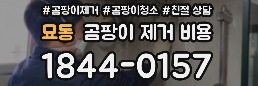묘동 곰팡이 제거 비용