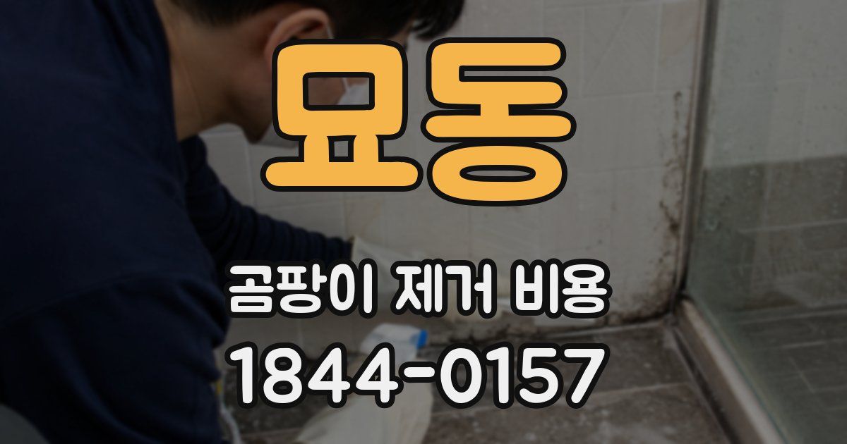 묘동 곰팡이 제거 비용