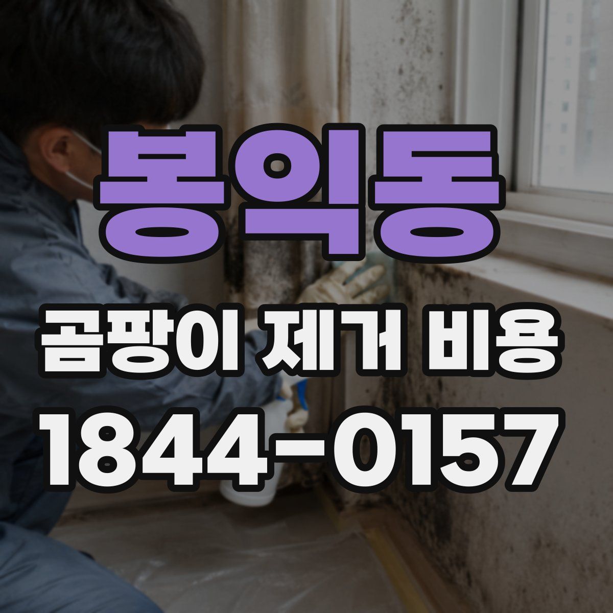 봉익동 곰팡이 제거 비용