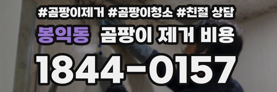 봉익동 곰팡이 제거 비용