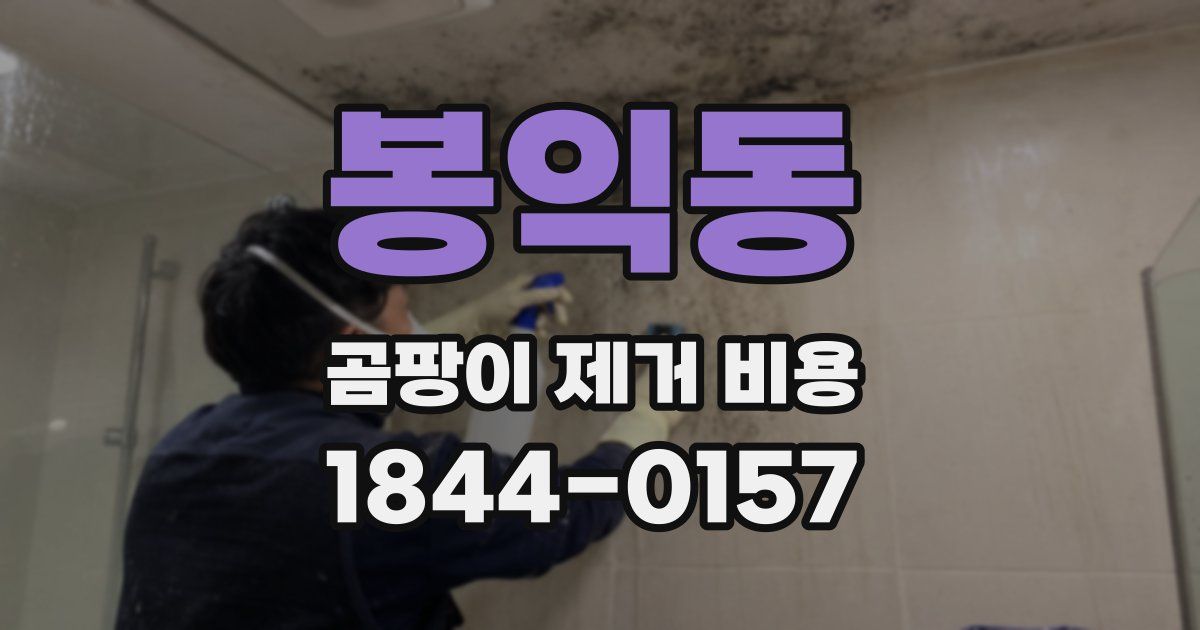봉익동 곰팡이 제거 비용