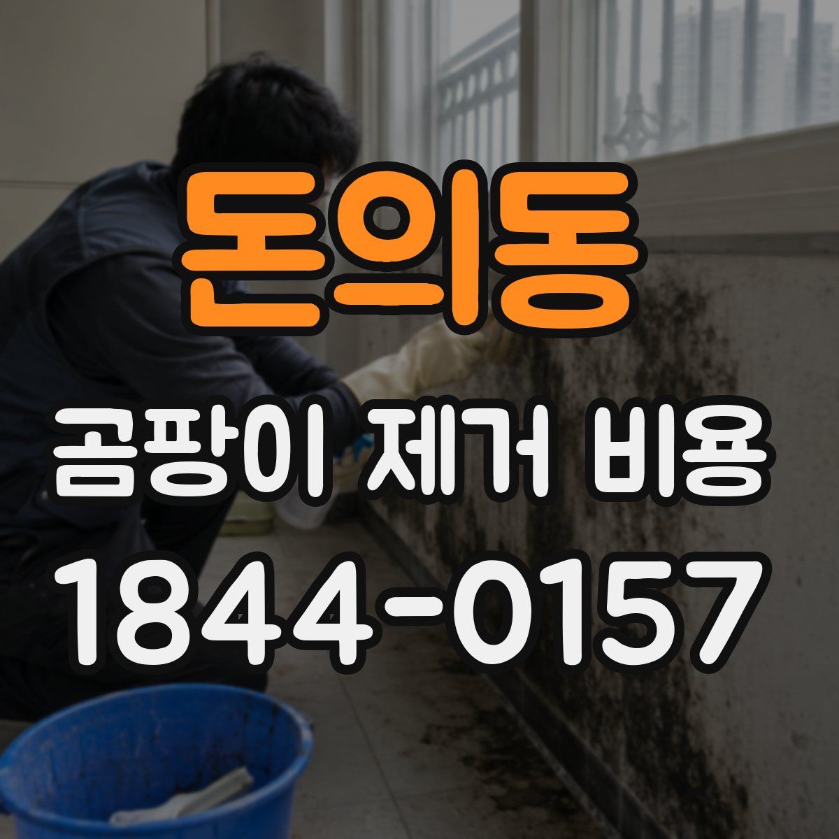 돈의동 곰팡이 제거 비용