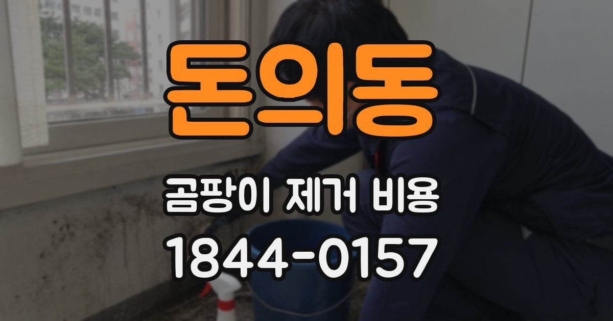 돈의동 곰팡이 제거 비용