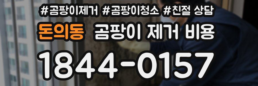 돈의동 곰팡이 제거 비용
