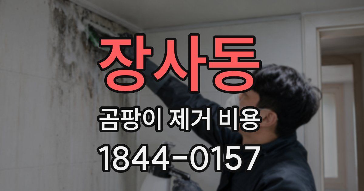 장사동 곰팡이 제거 비용
