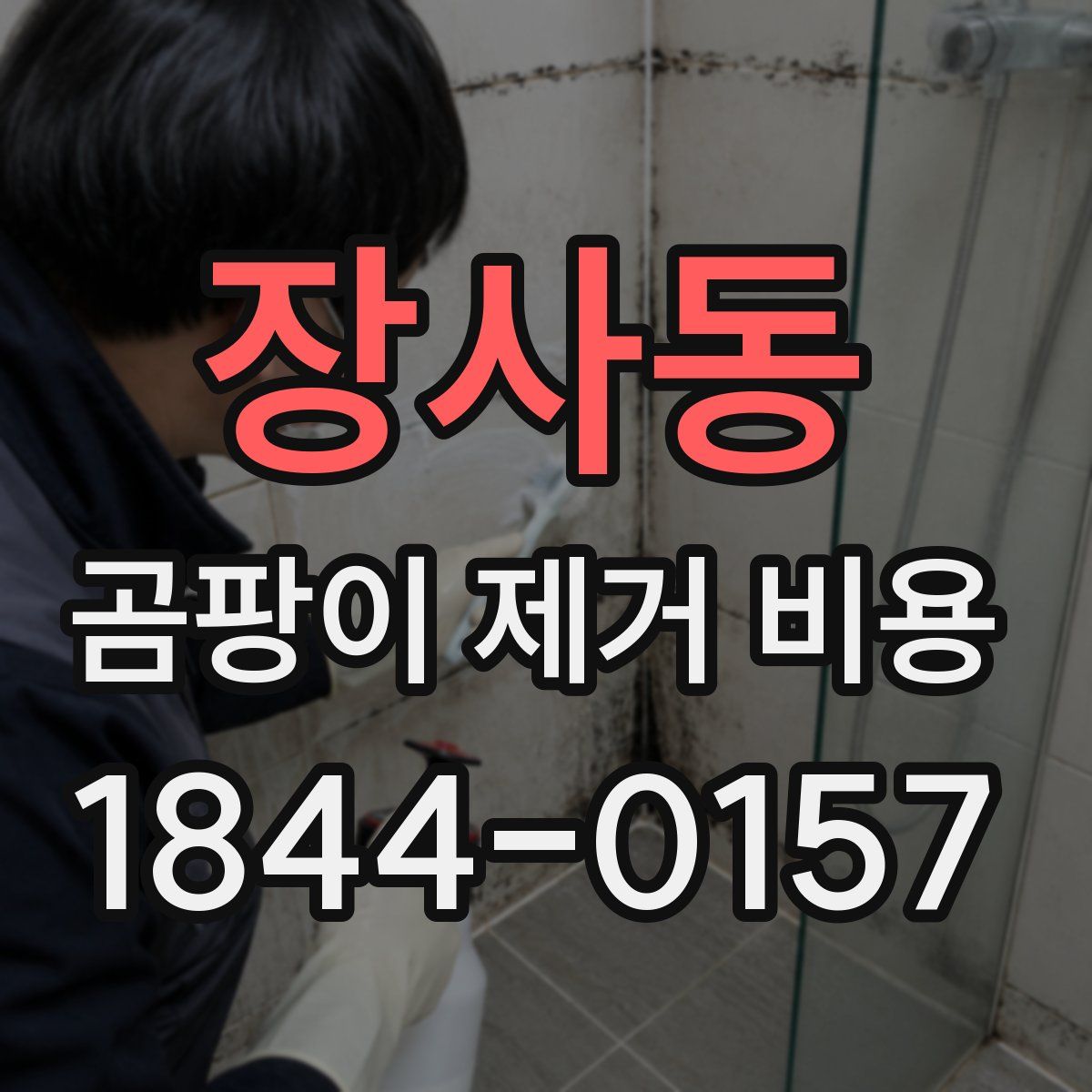 장사동 곰팡이 제거 비용