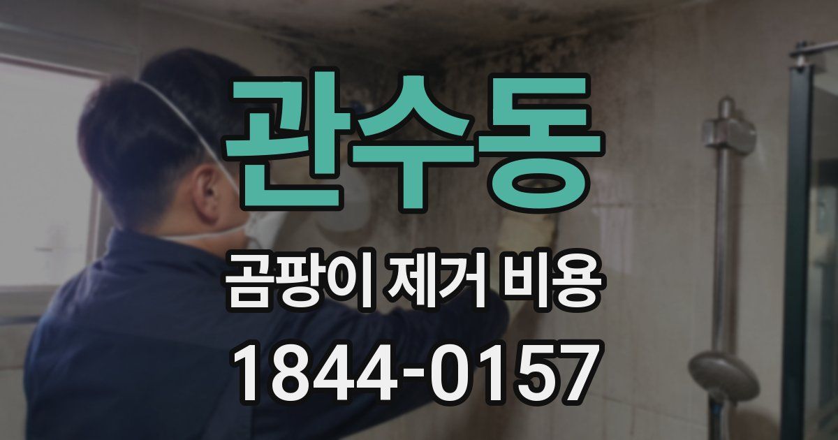 관수동 곰팡이 제거 비용