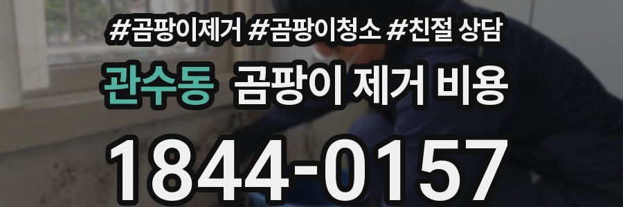 관수동 곰팡이 제거 비용
