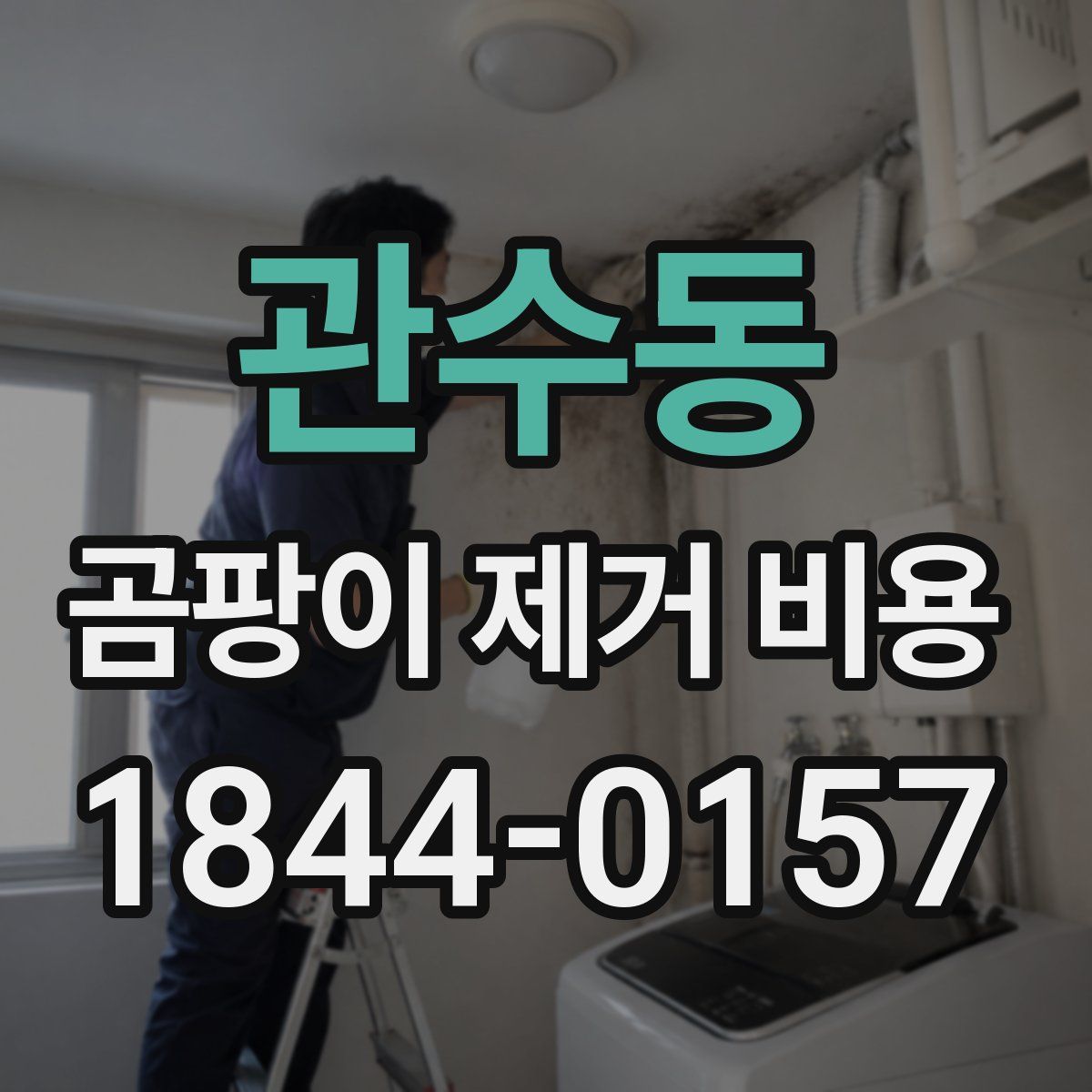 관수동 곰팡이 제거 비용