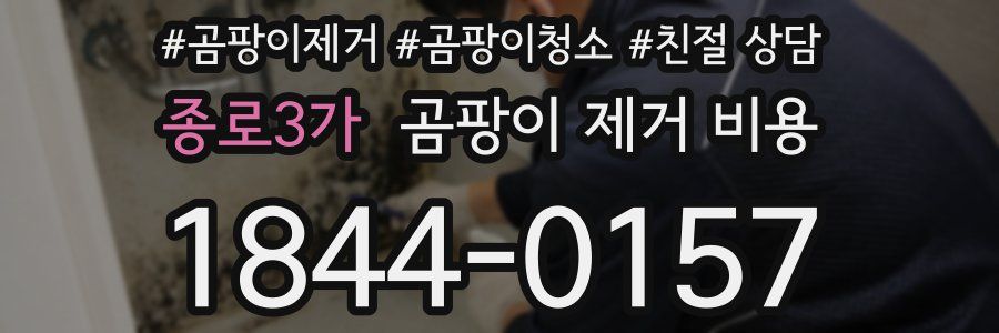 종로3가 곰팡이 제거 비용