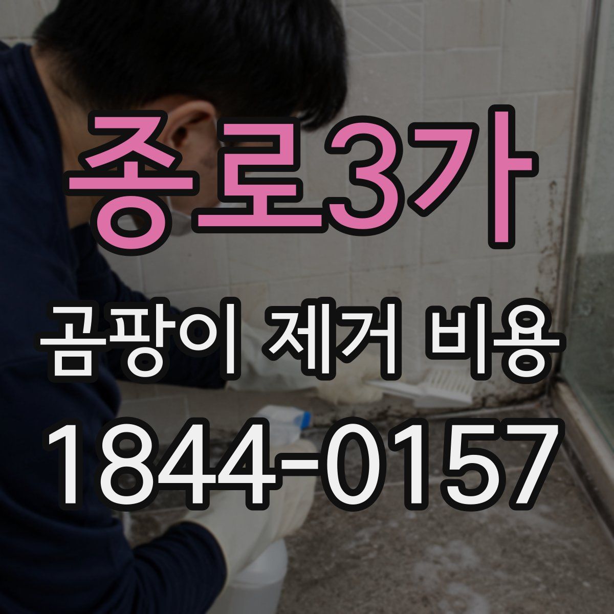 종로3가 곰팡이 제거 비용