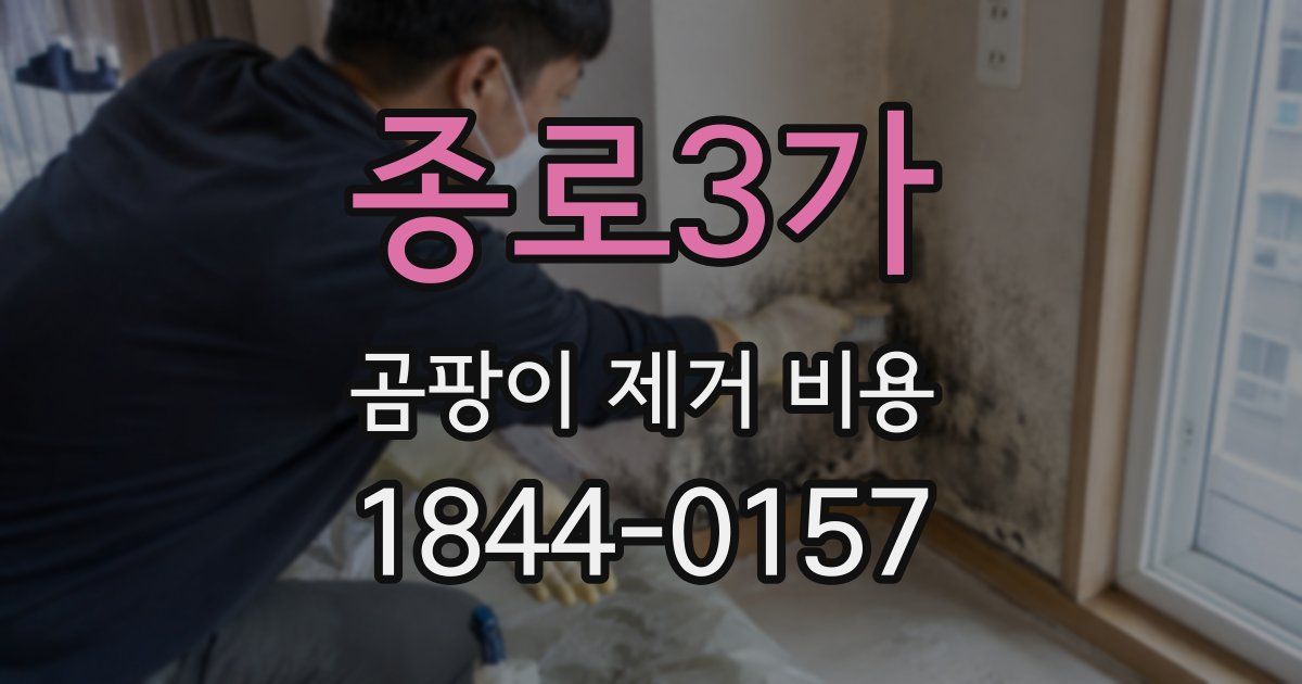 종로3가 곰팡이 제거 비용