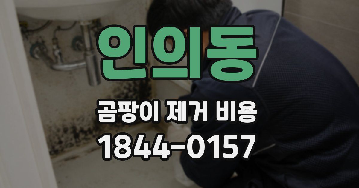 인의동 곰팡이 제거 비용