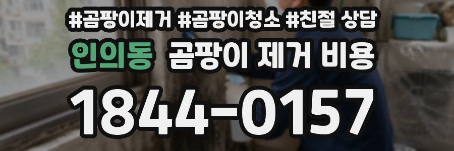 인의동 곰팡이 제거 비용