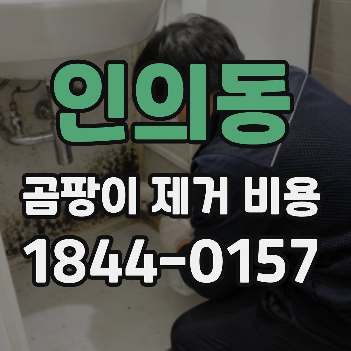 인의동 곰팡이 제거 비용