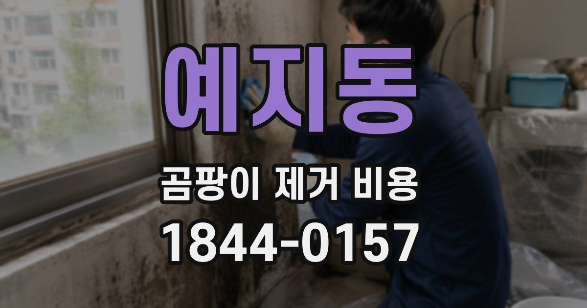 예지동 곰팡이 제거 비용