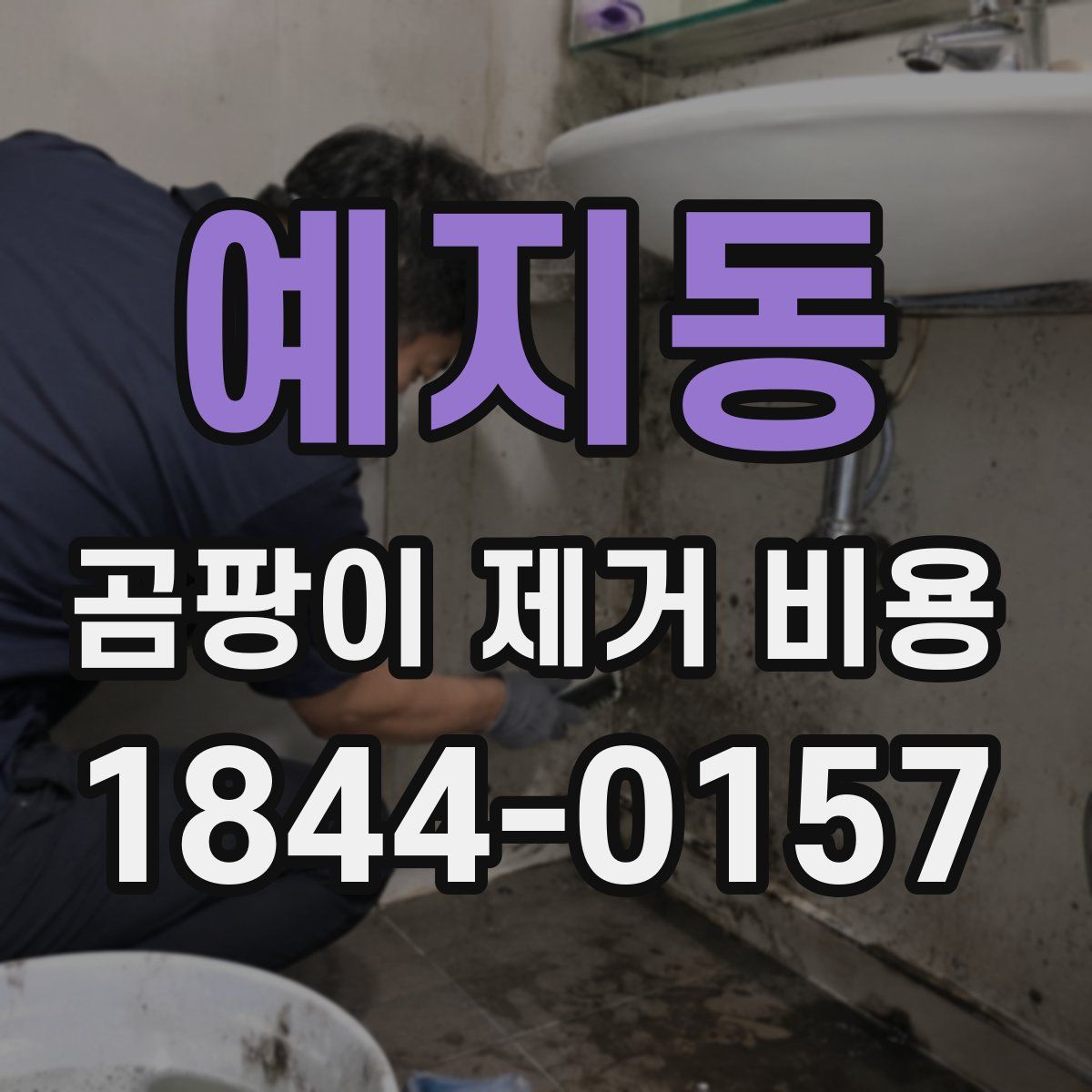 예지동 곰팡이 제거 비용