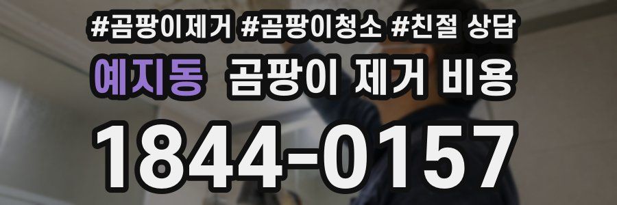 예지동 곰팡이 제거 비용