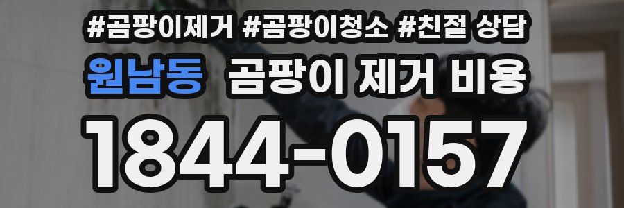 원남동 곰팡이 제거 비용