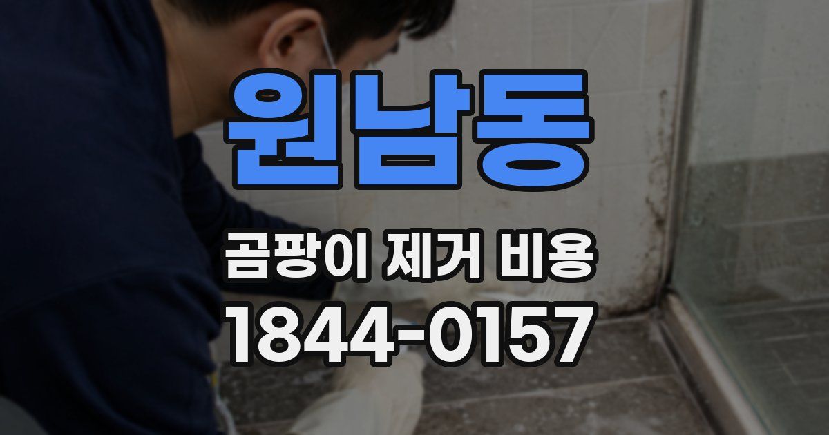 원남동 곰팡이 제거 비용