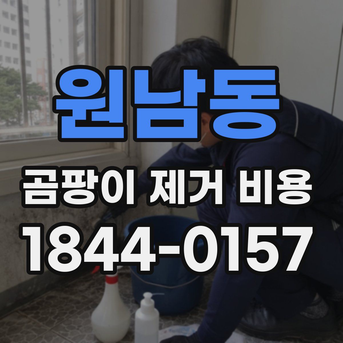 원남동 곰팡이 제거 비용
