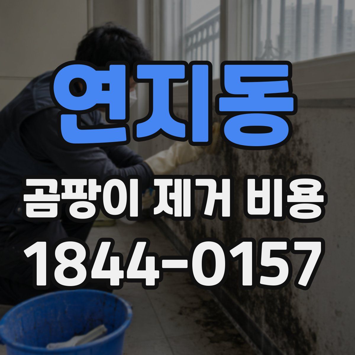 연지동 곰팡이 제거 비용