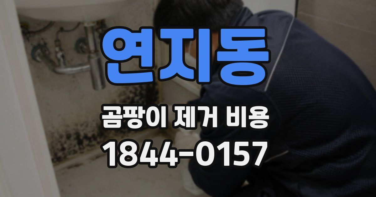 연지동 곰팡이 제거 비용