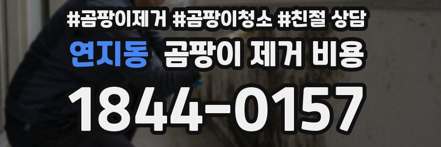 연지동 곰팡이 제거 비용