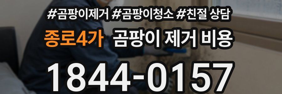 종로4가 곰팡이 제거 비용