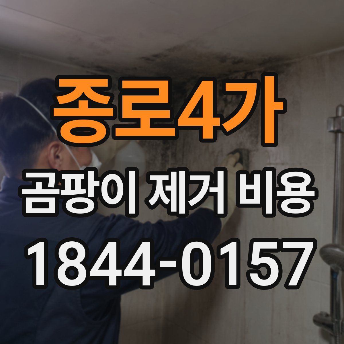 종로4가 곰팡이 제거 비용