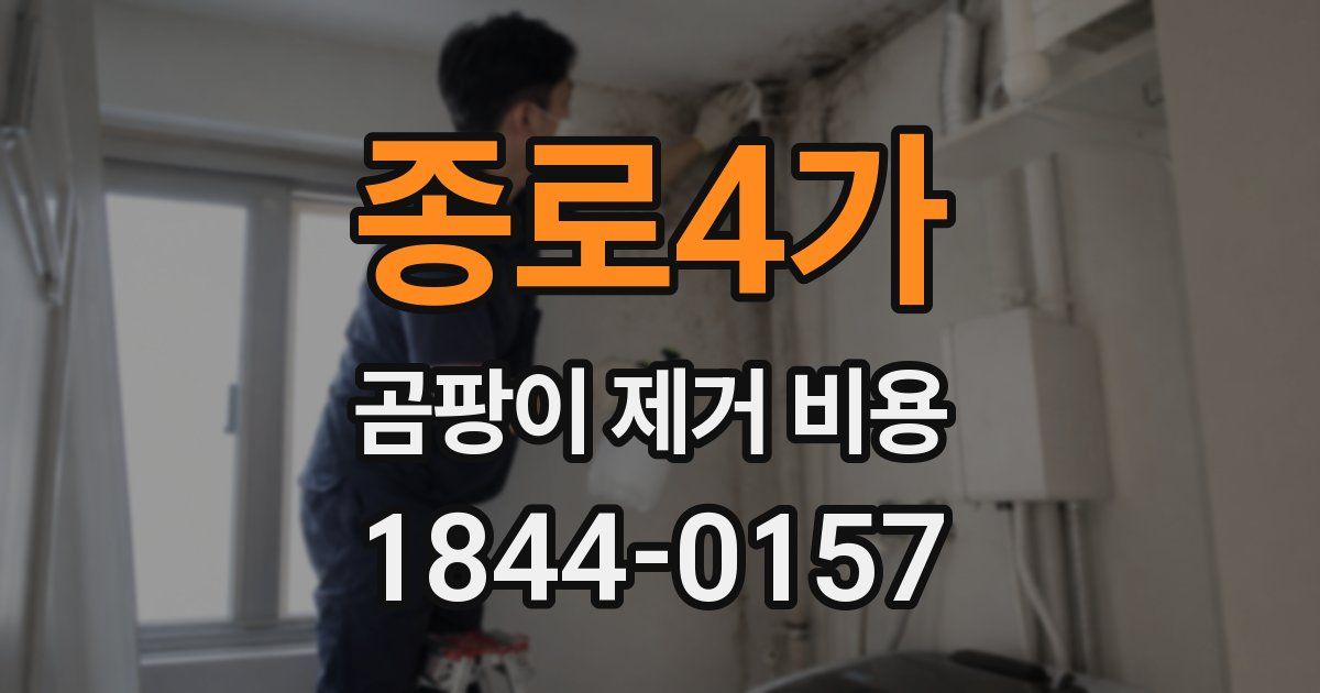 종로4가 곰팡이 제거 비용