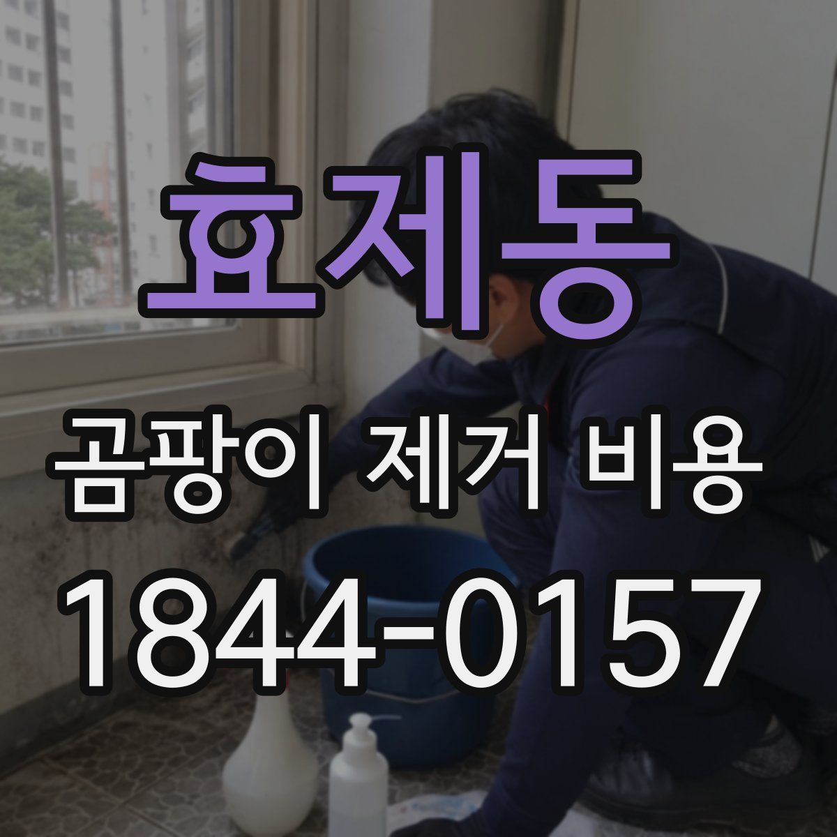 효제동 곰팡이 제거 비용