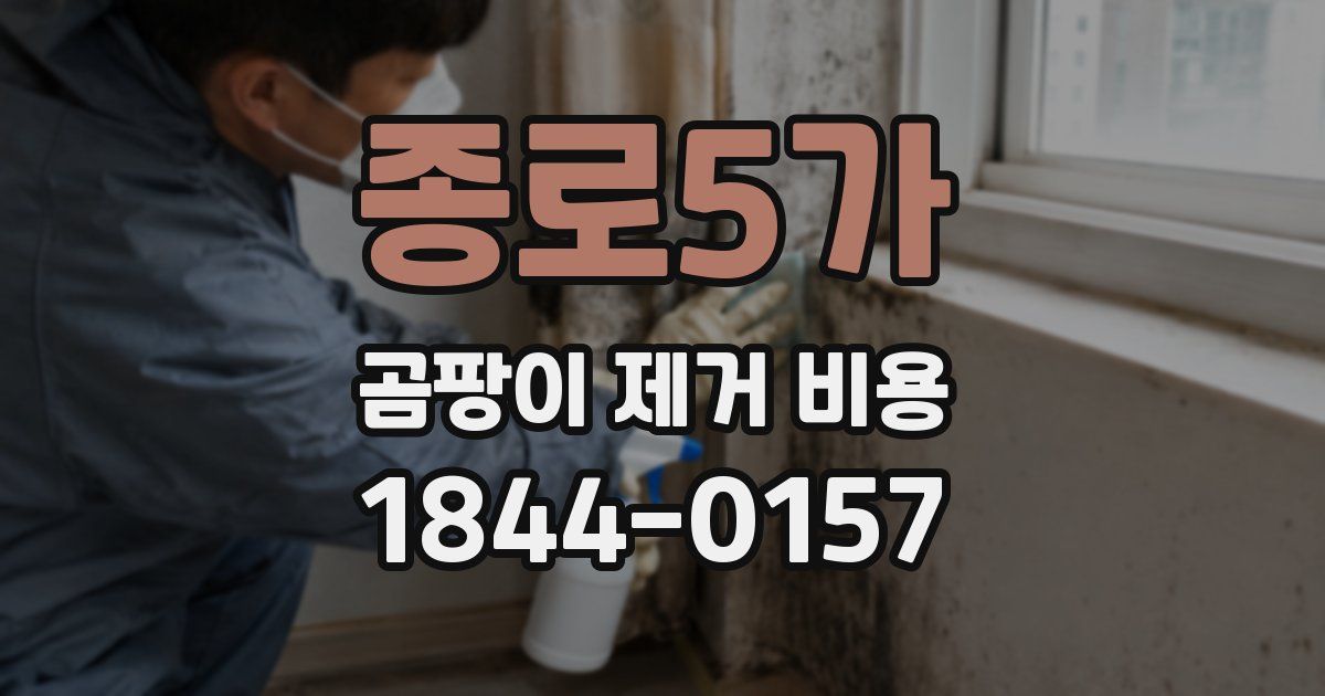 종로5가 곰팡이 제거 비용