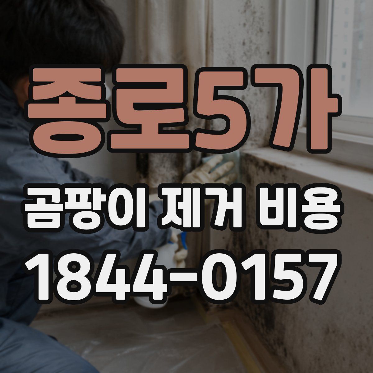 종로5가 곰팡이 제거 비용