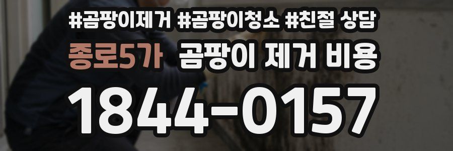 종로5가 곰팡이 제거 비용