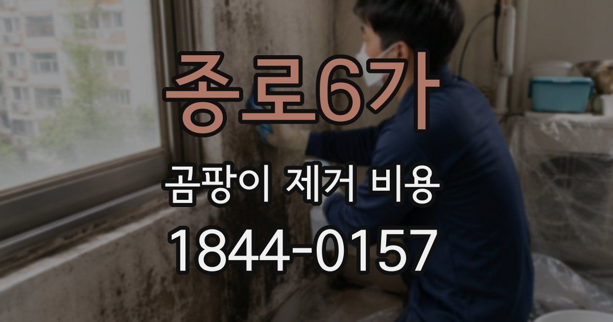 종로6가 곰팡이 제거 비용
