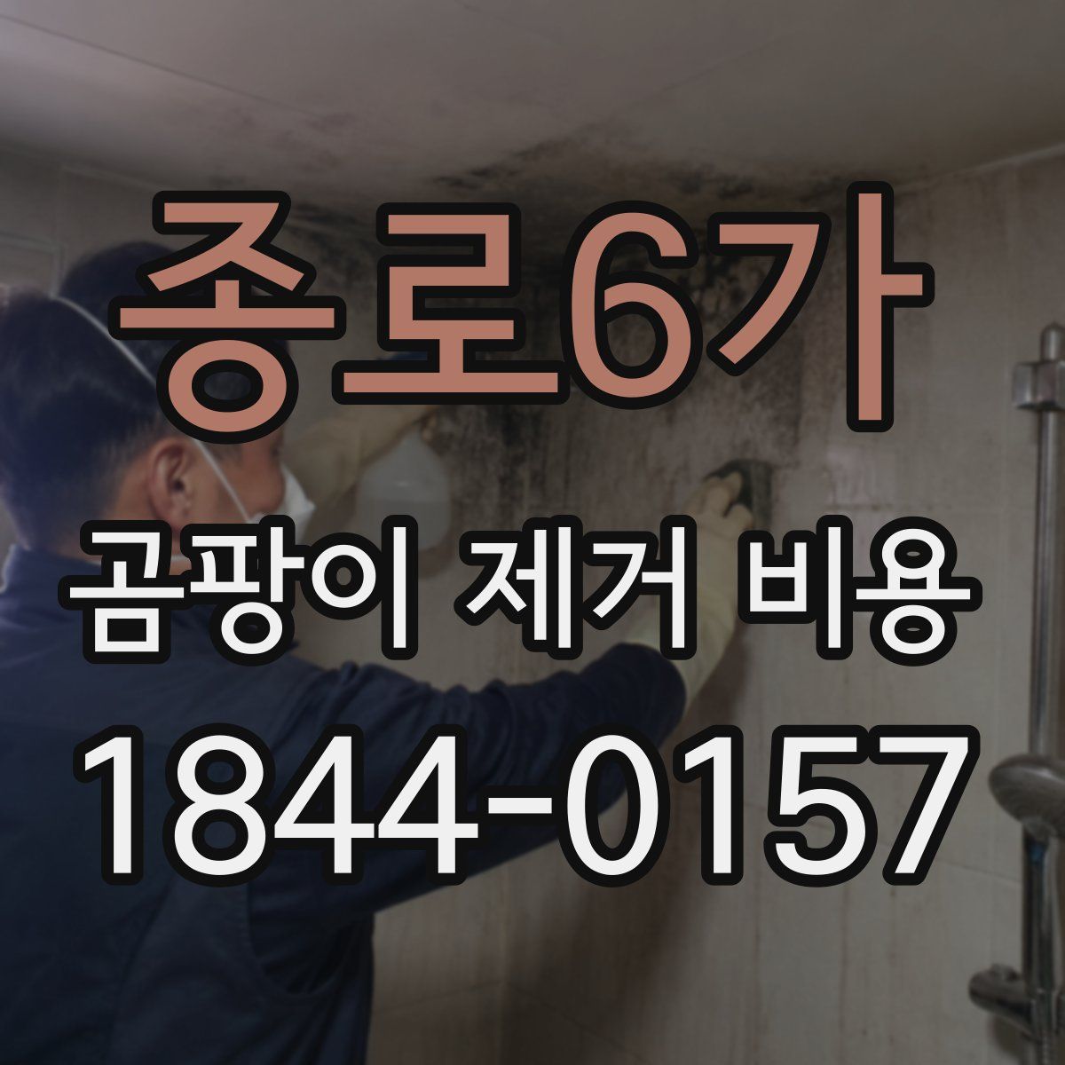 종로6가 곰팡이 제거 비용
