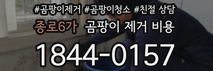 종로6가 곰팡이 제거 비용