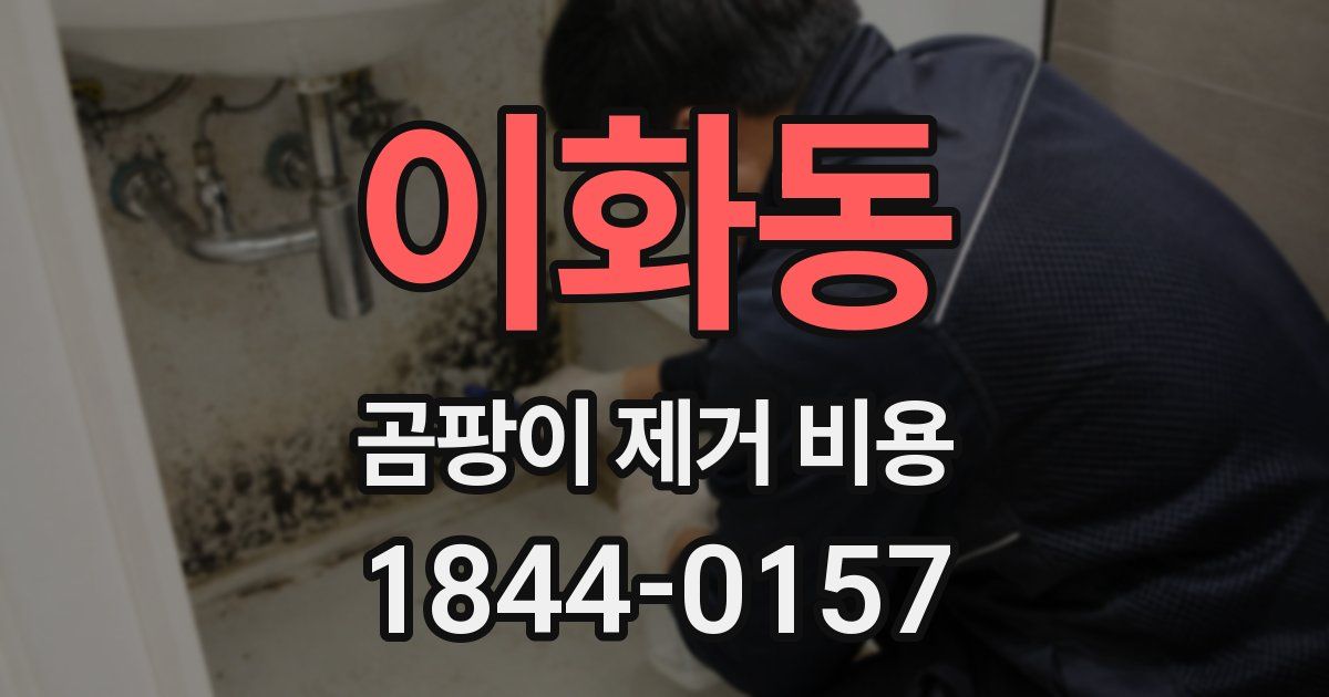 이화동 곰팡이 제거 비용