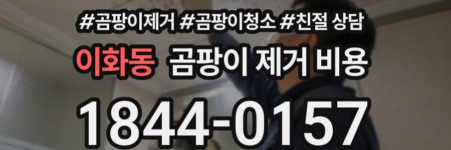 이화동 곰팡이 제거 비용