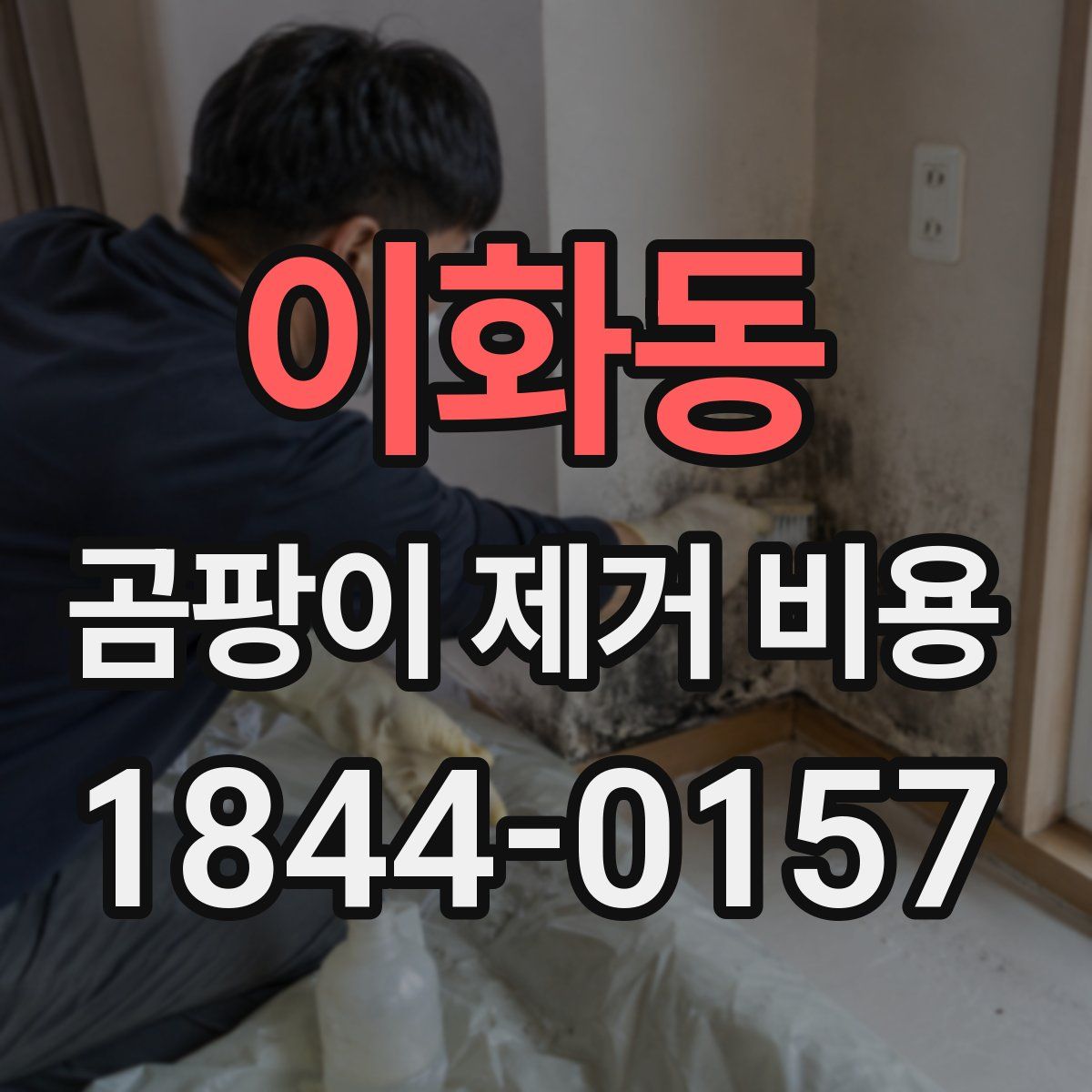 이화동 곰팡이 제거 비용