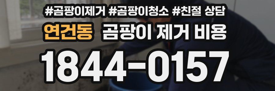 연건동 곰팡이 제거 비용