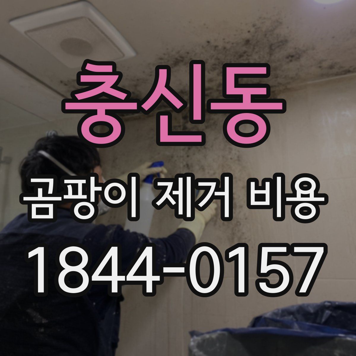 충신동 곰팡이 제거 비용