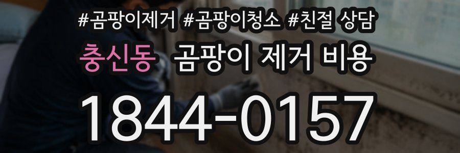 충신동 곰팡이 제거 비용