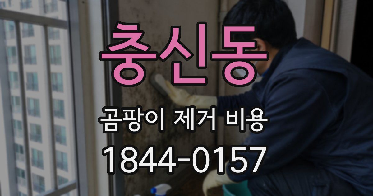 충신동 곰팡이 제거 비용