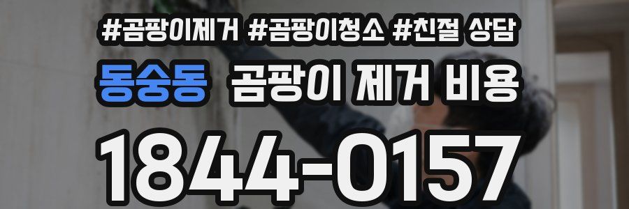 동숭동 곰팡이 제거 비용