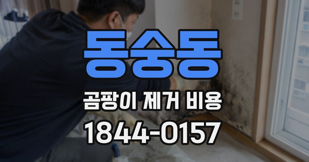 동숭동 곰팡이 제거 비용