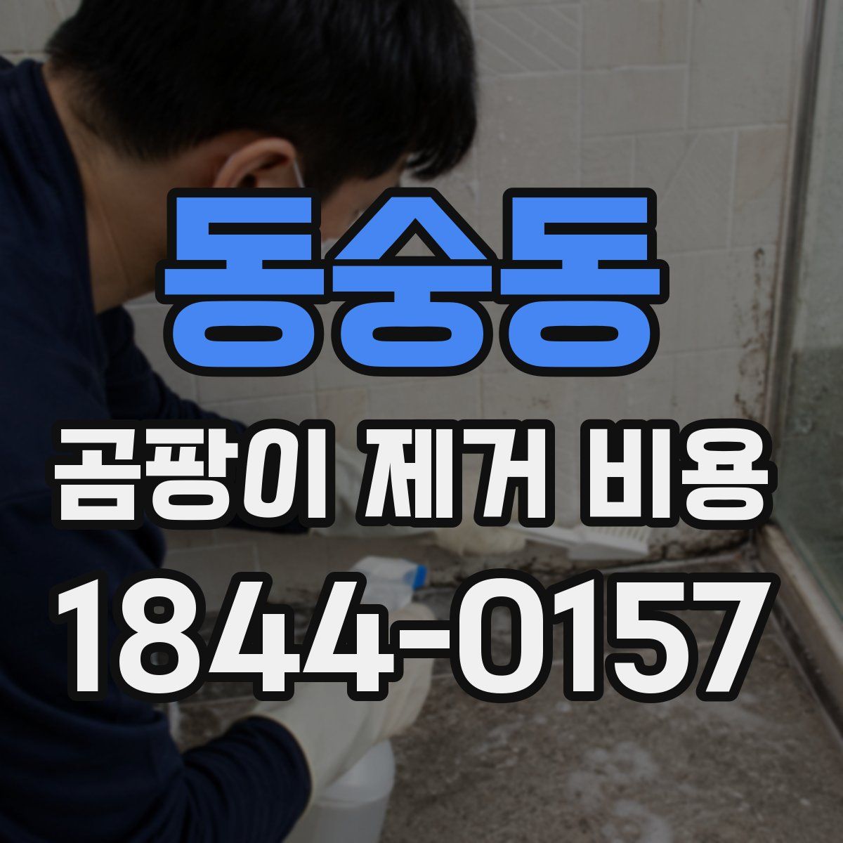 동숭동 곰팡이 제거 비용